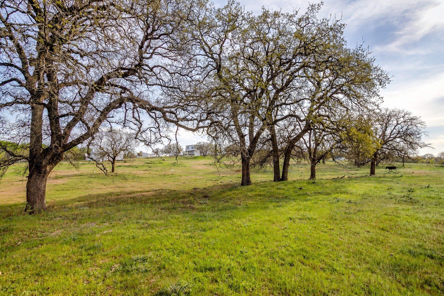 599 Private Road 3630 Springtown TX 76020