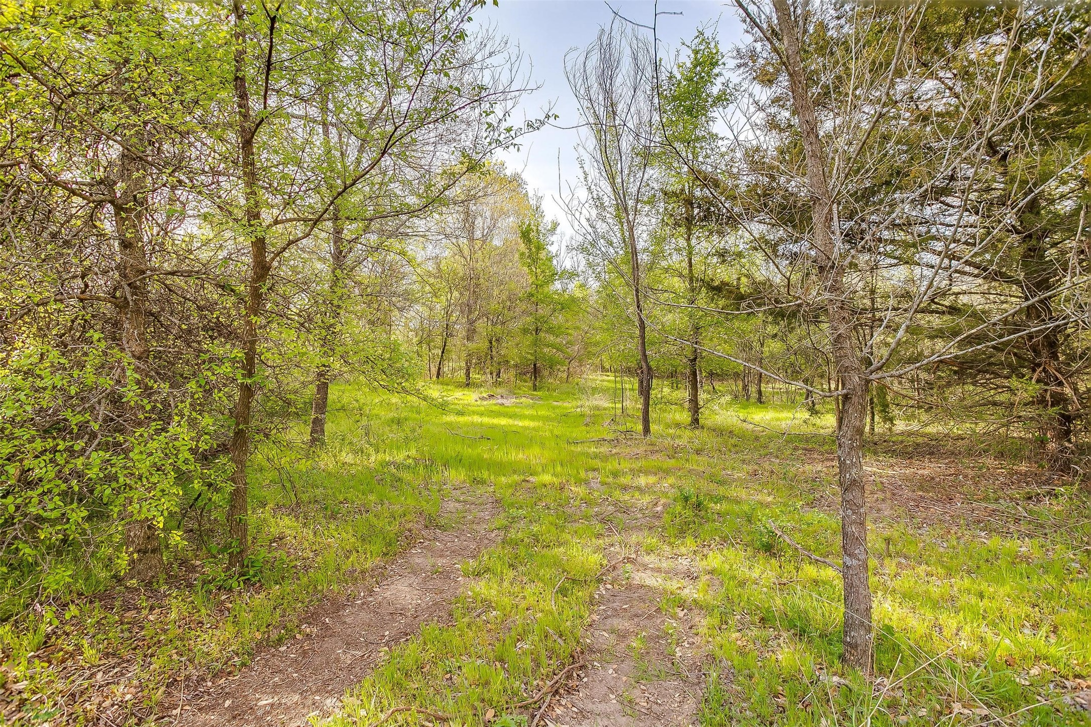 599 Private Road 3630 Springtown TX 76020