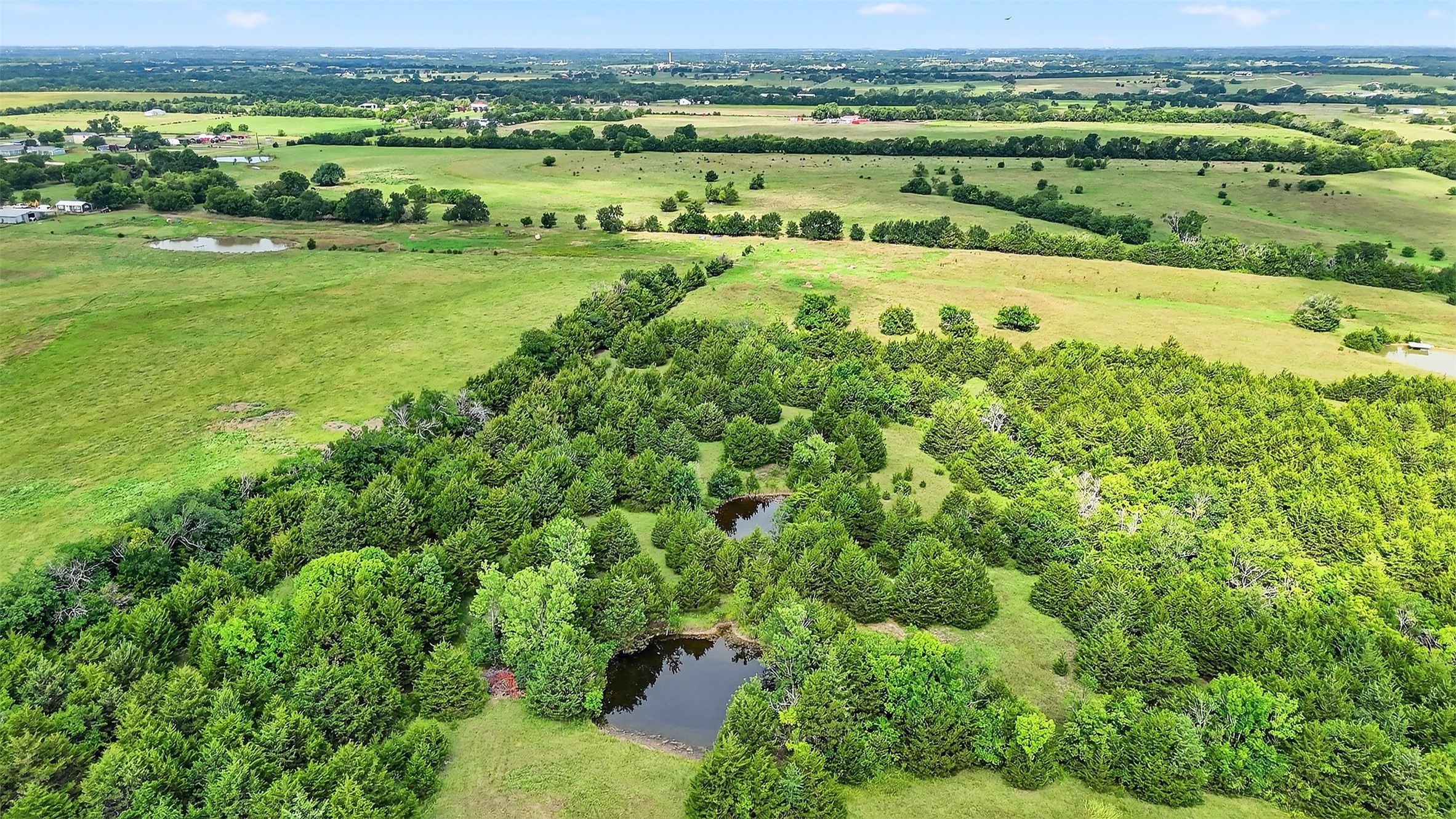 13631 Fm 981 Blue Ridge TX 75424