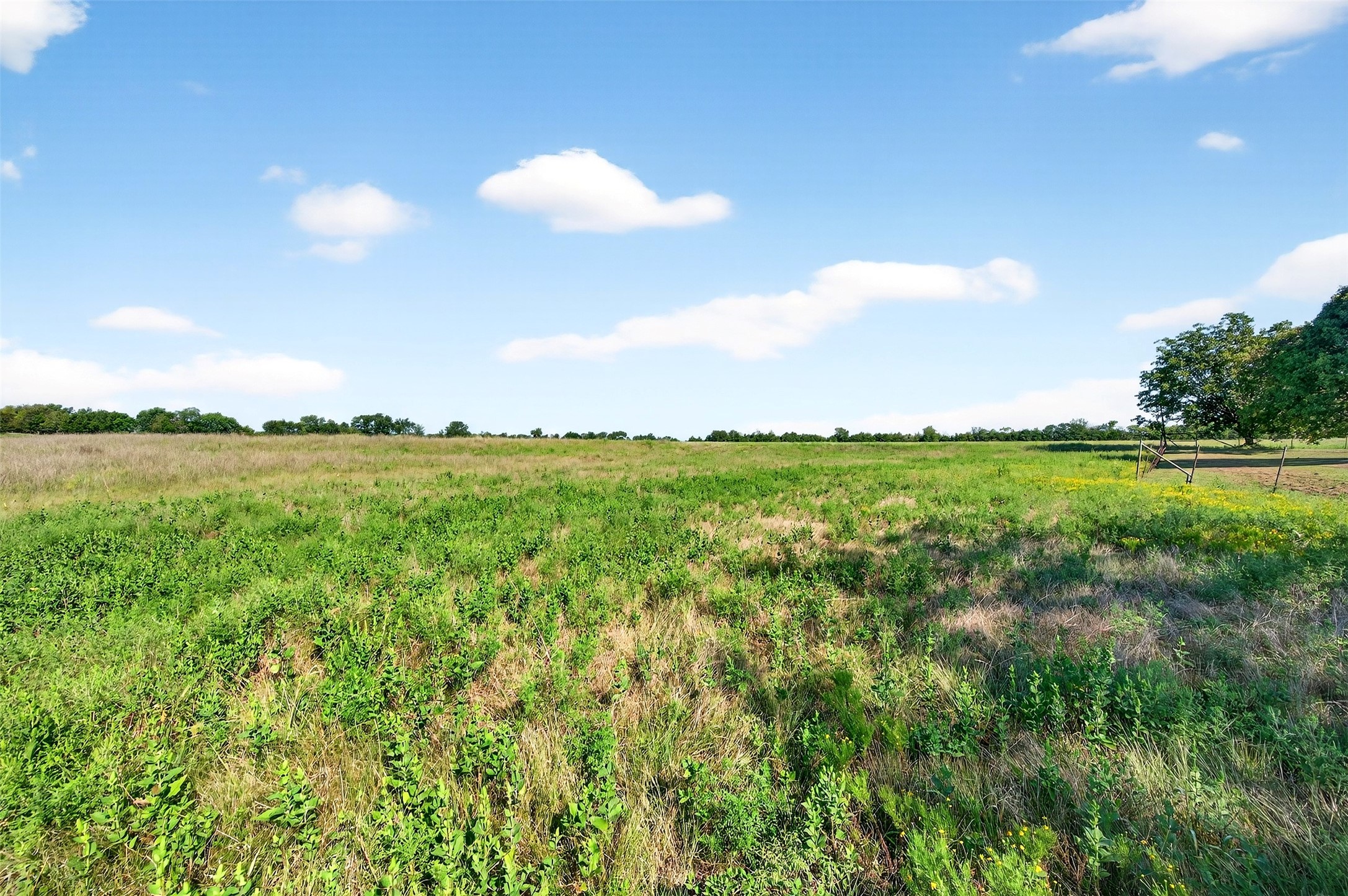 13631 Fm 981 Blue Ridge TX 75424