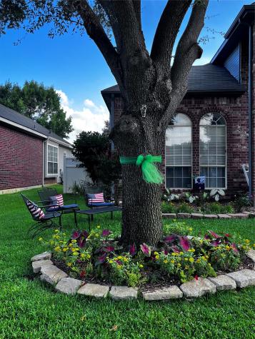1184 Pleasant Oaks Drive Lewisville TX 75067