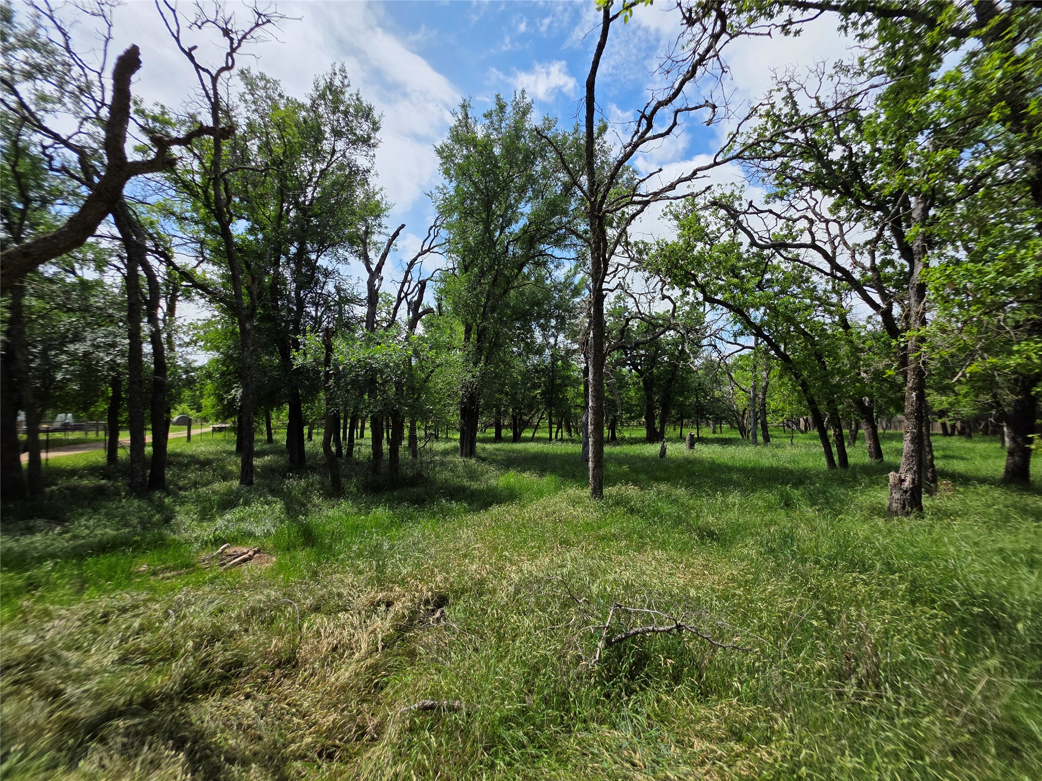 1200 E Fm 2273 May TX 76857