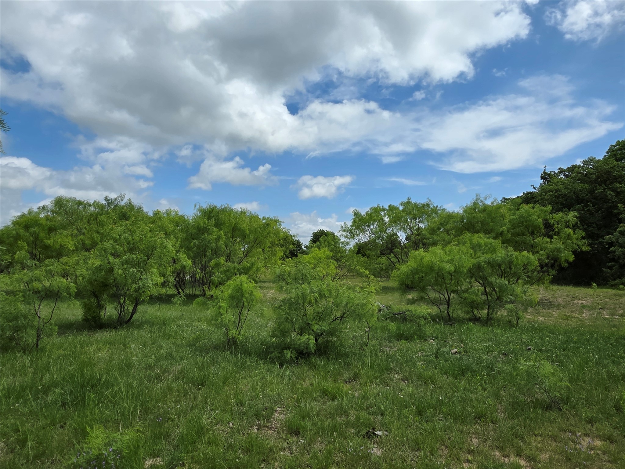 1200 E Fm 2273 May TX 76857
