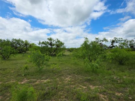 1200 E Fm 2273 May TX 76857