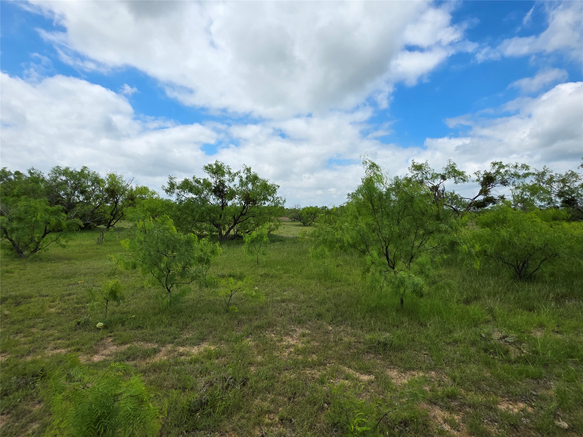 1200 E Fm 2273 May TX 76857