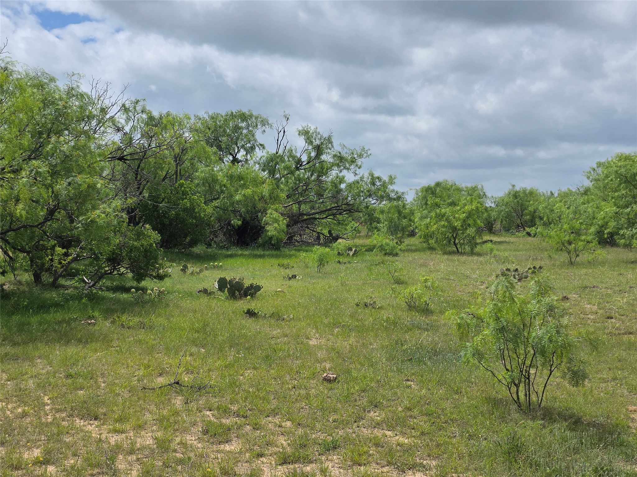 1200 E Fm 2273 May TX 76857