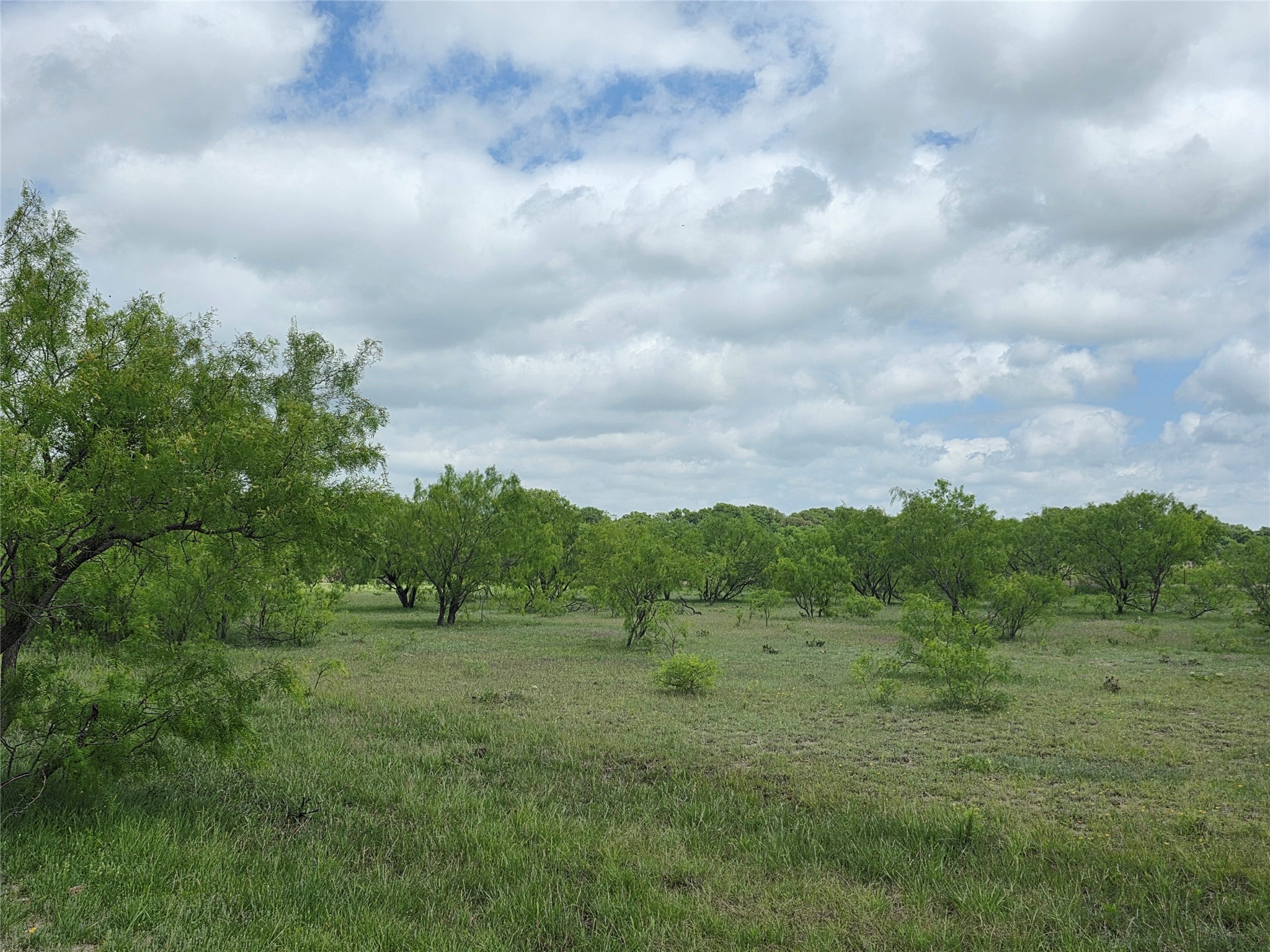 1200 E Fm 2273 May TX 76857