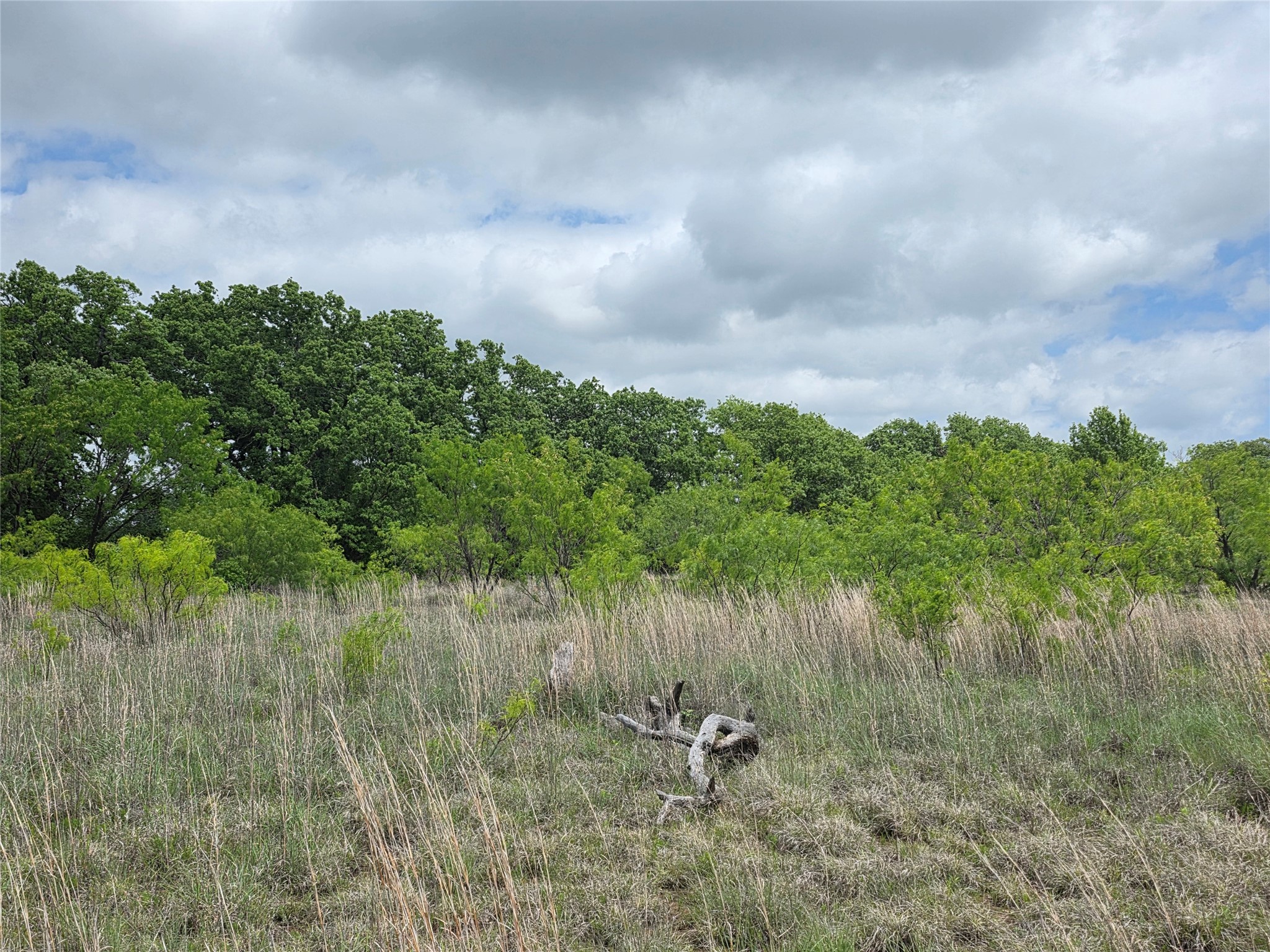 1200 E Fm 2273 May TX 76857