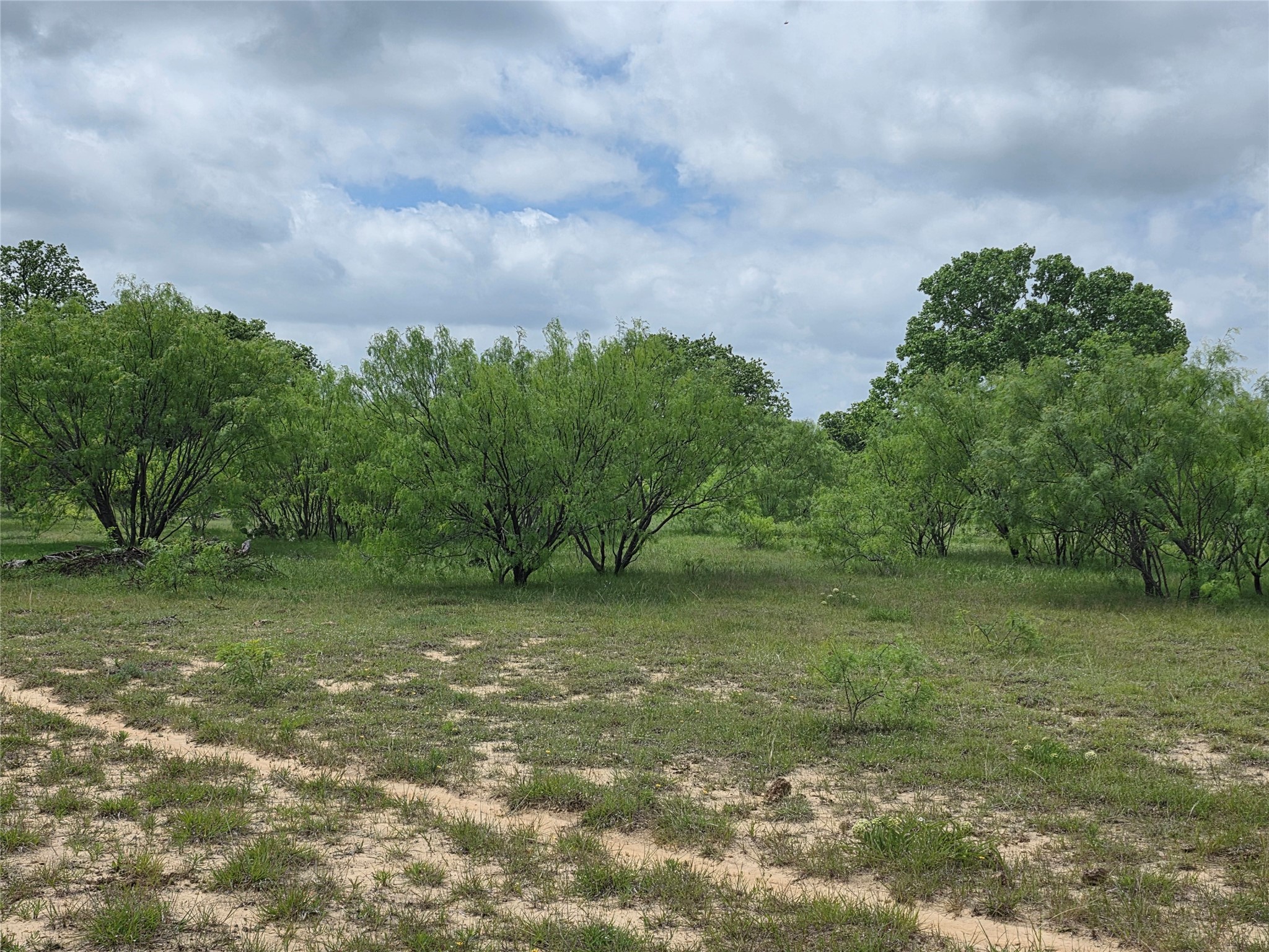1200 E Fm 2273 May TX 76857