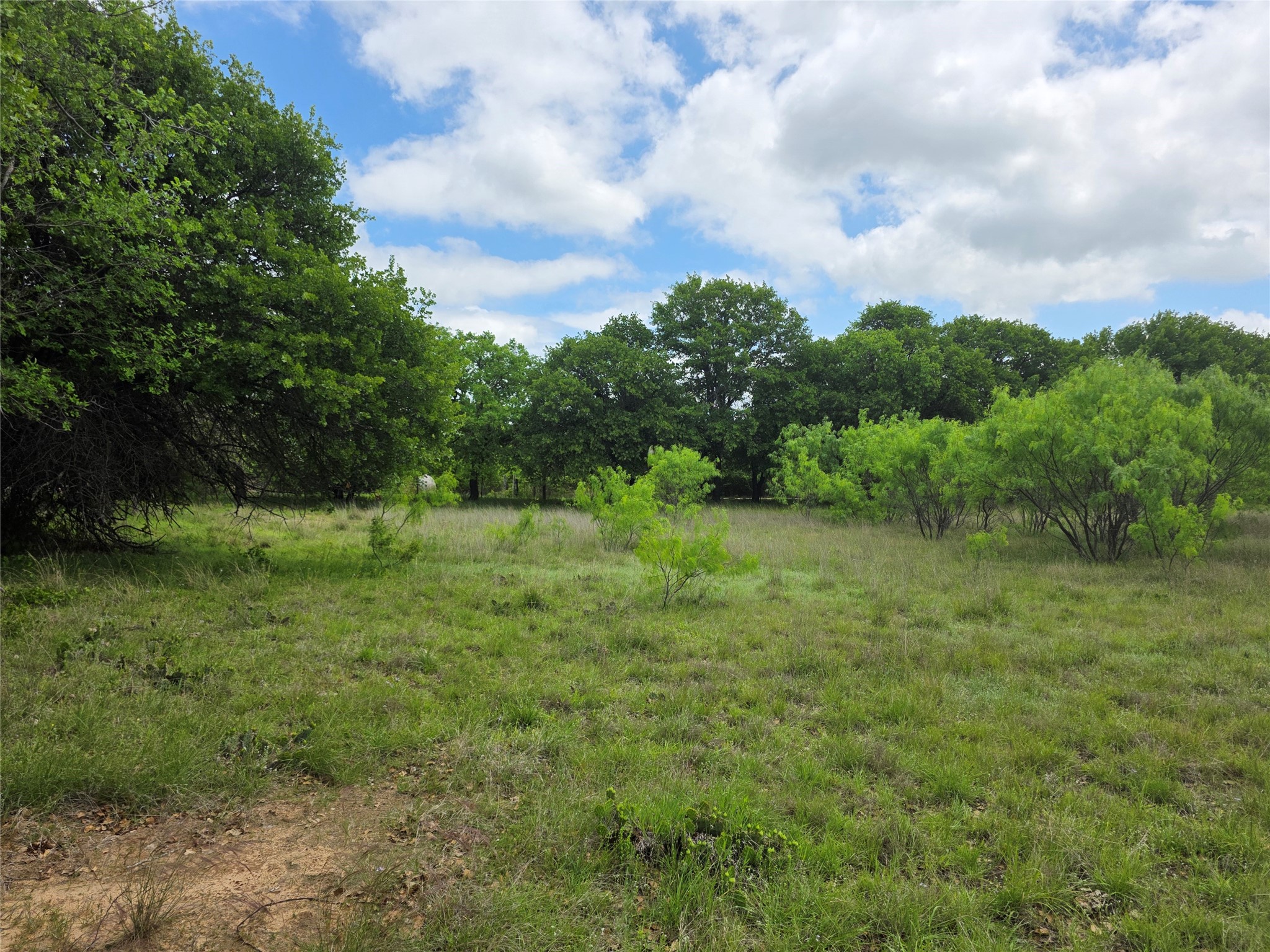 1200 E Fm 2273 May TX 76857