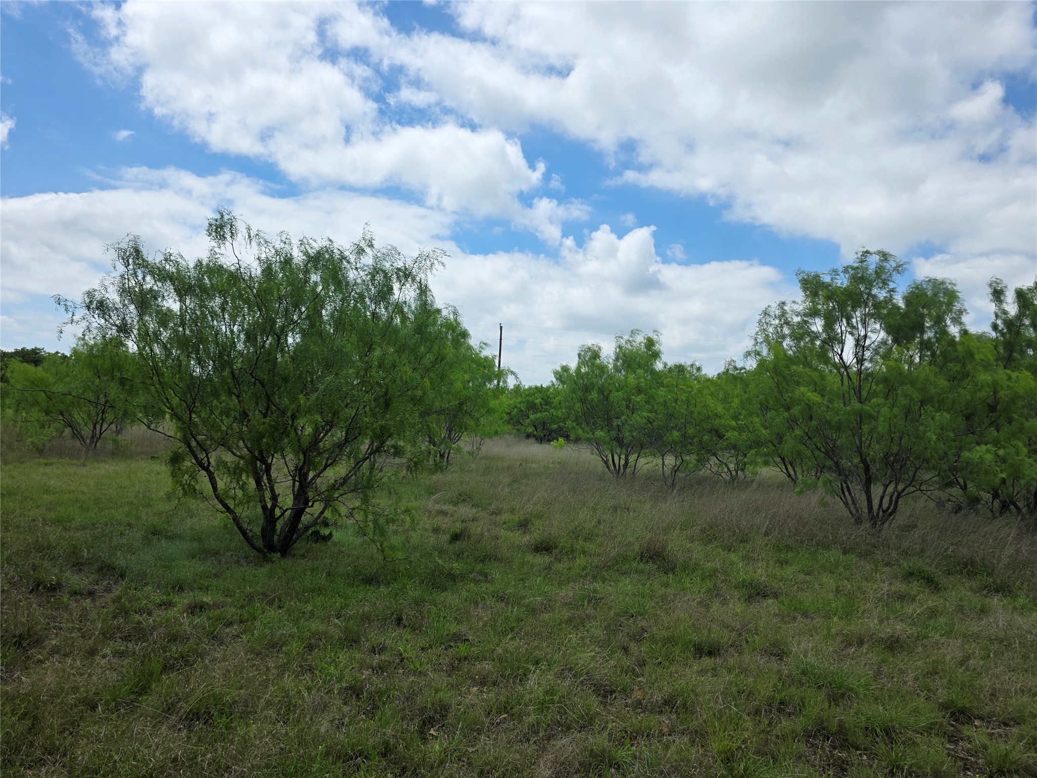 1200 E Fm 2273 May TX 76857