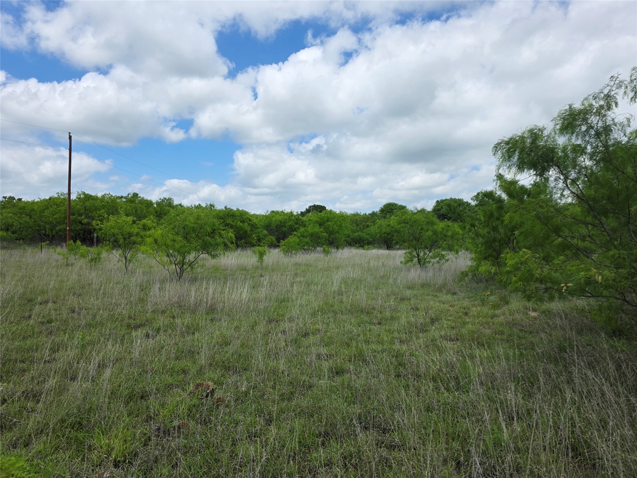 1200 E Fm 2273 May TX 76857