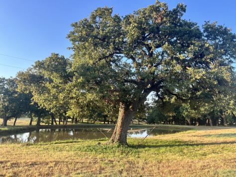 27659 Us Highway 377 Gordonville TX 76245