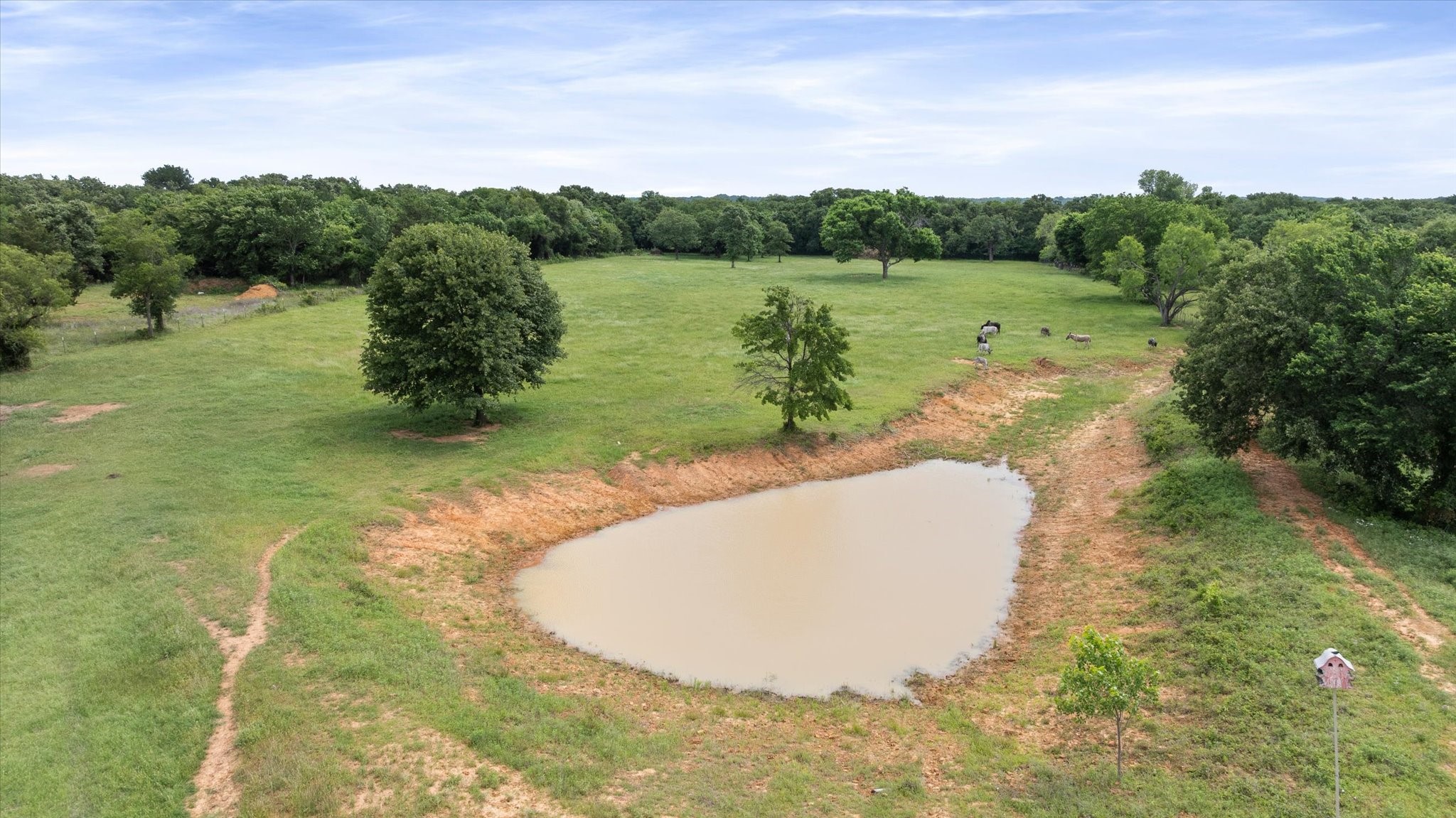 7401 County Road 1204 Cleburne TX 76031