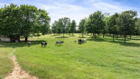7401 County Road 1204 Cleburne TX 76031