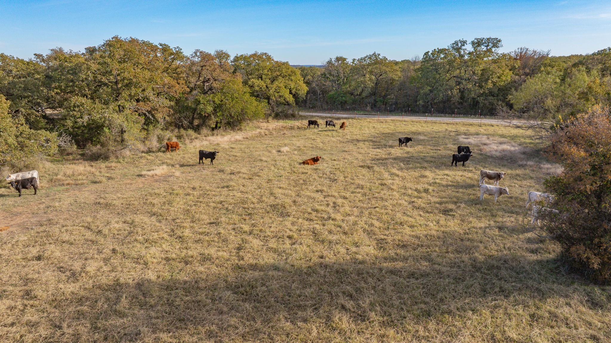 7203 Pump Station Road Jacksboro TX 76458