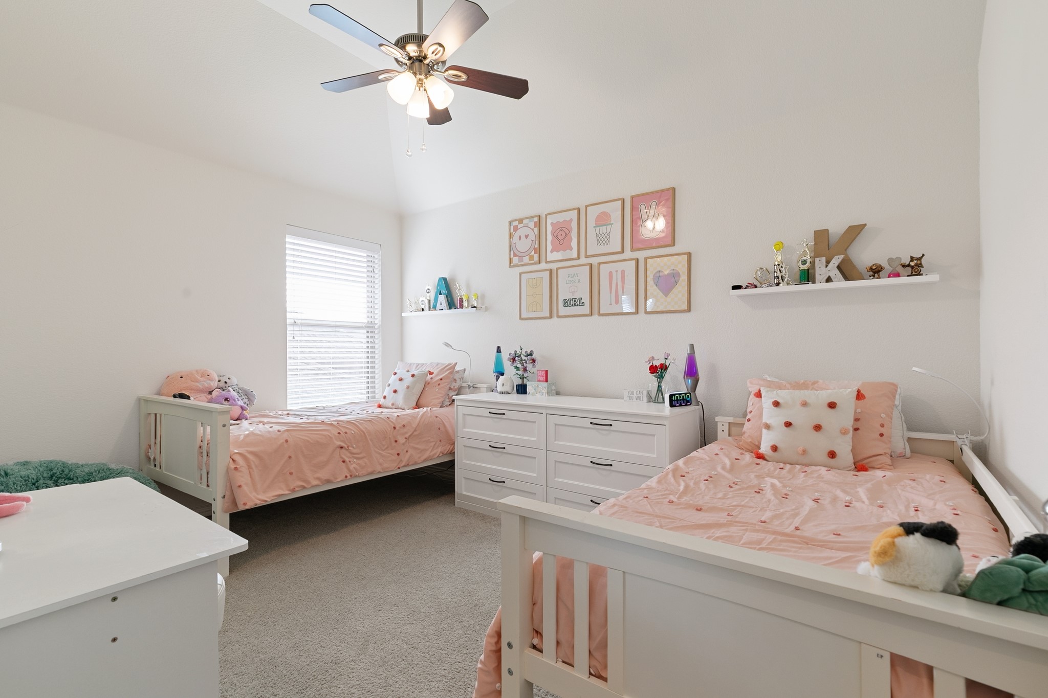 829 Pier Street Little Elm TX 76227