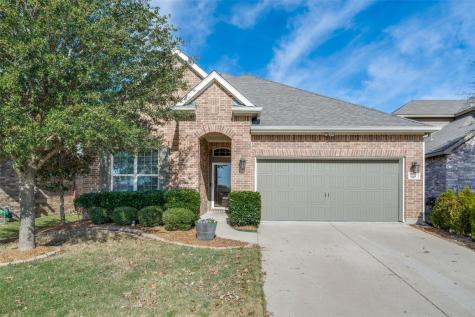 213 Turnstone Drive Little Elm TX 75068
