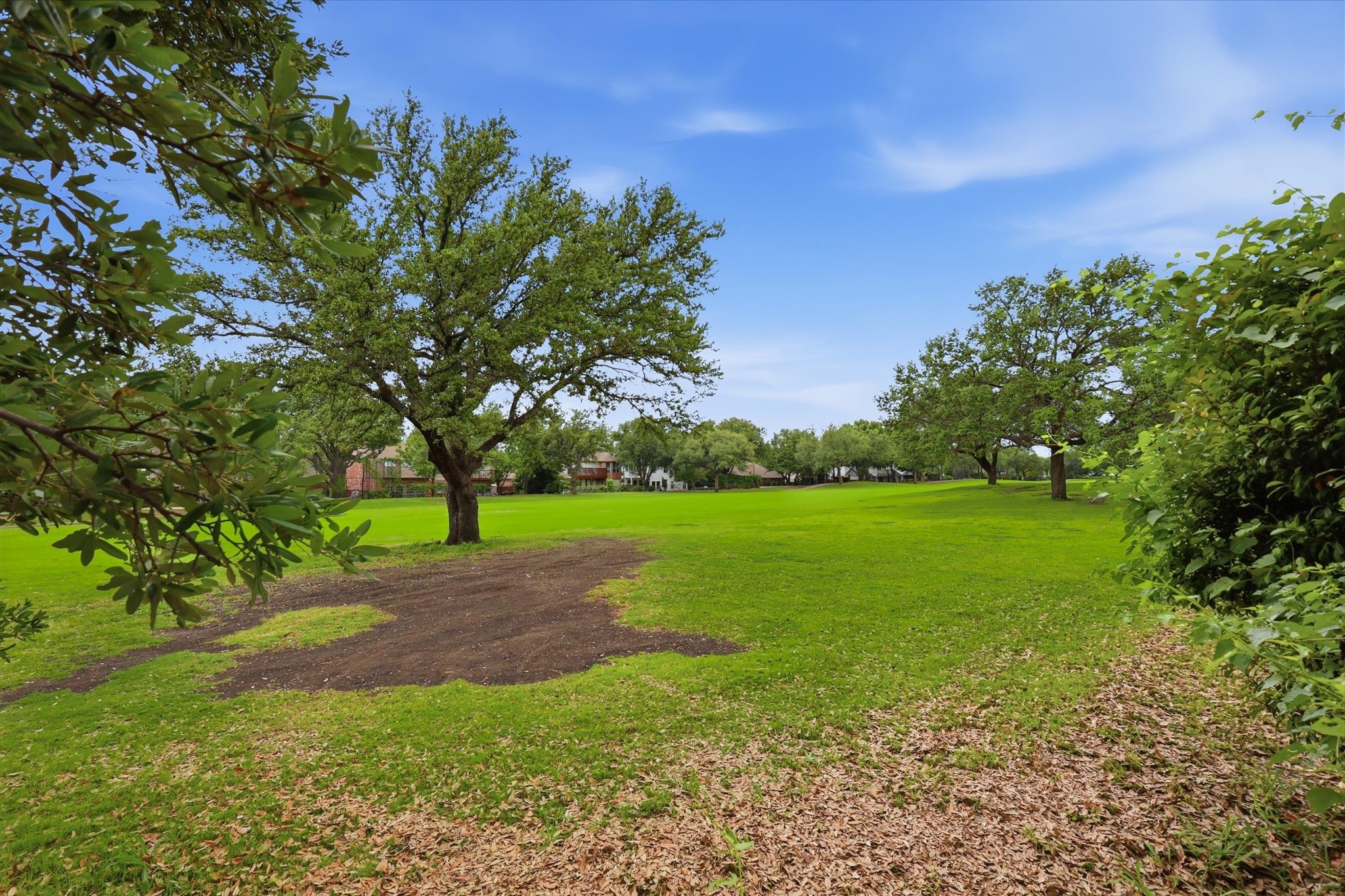 11317 Sunrise Lane Frisco TX 75035