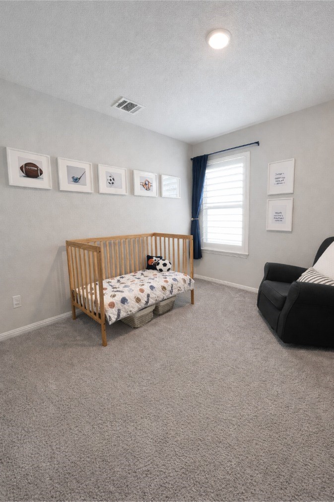 6609 Adderly Road Pilot Point TX 76258