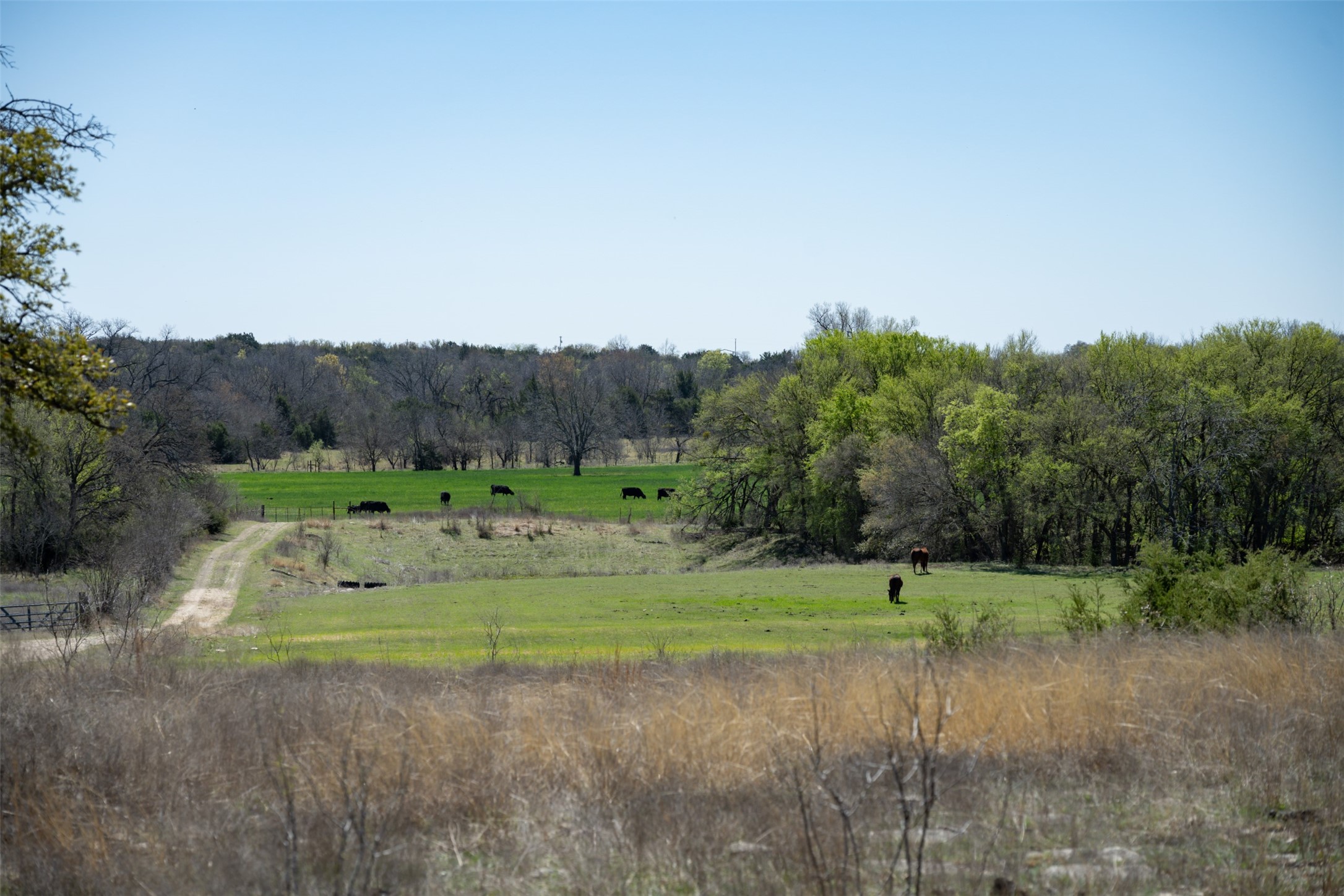 1208 Private Road 1399 Dublin TX 76446