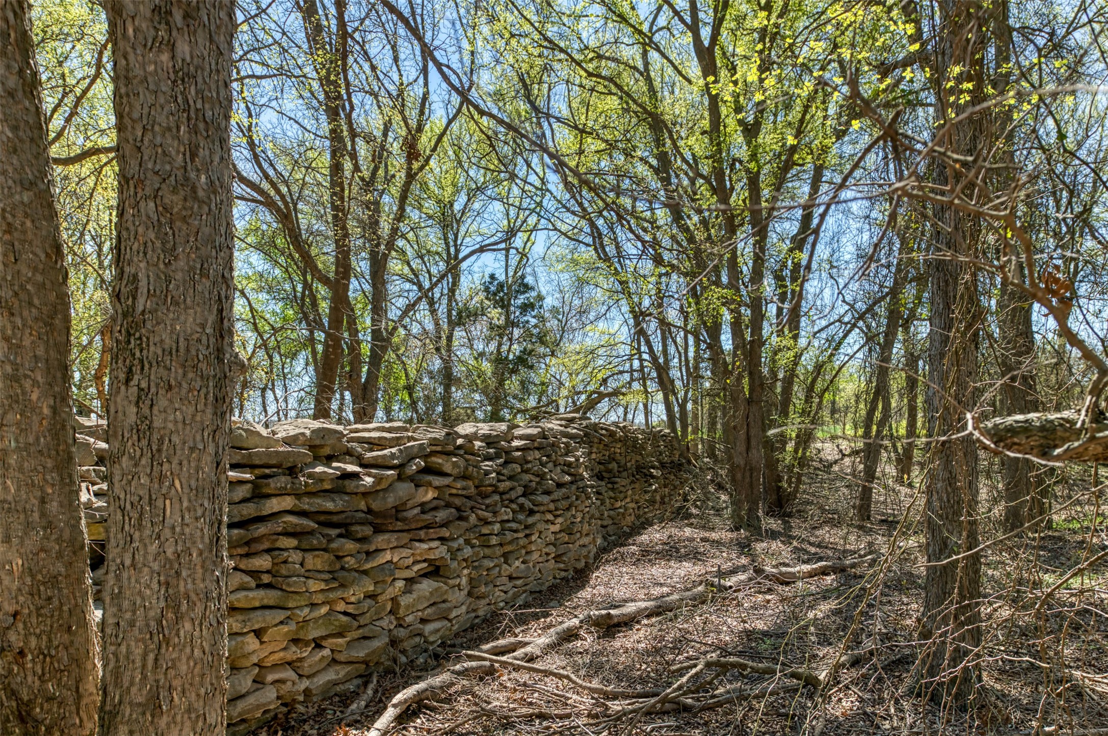 1208 Private Road 1399 Dublin TX 76446