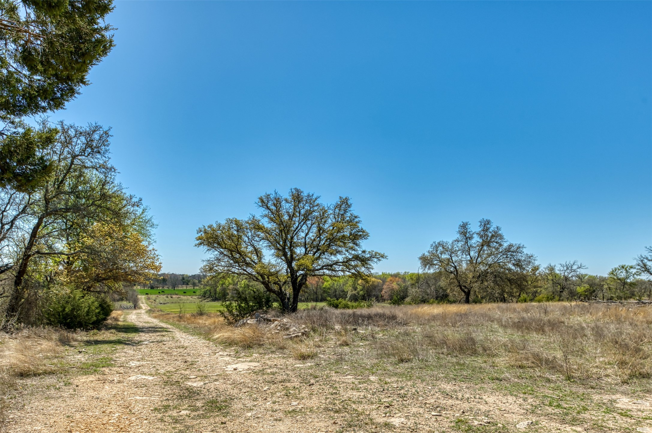1208 Private Road 1399 Dublin TX 76446