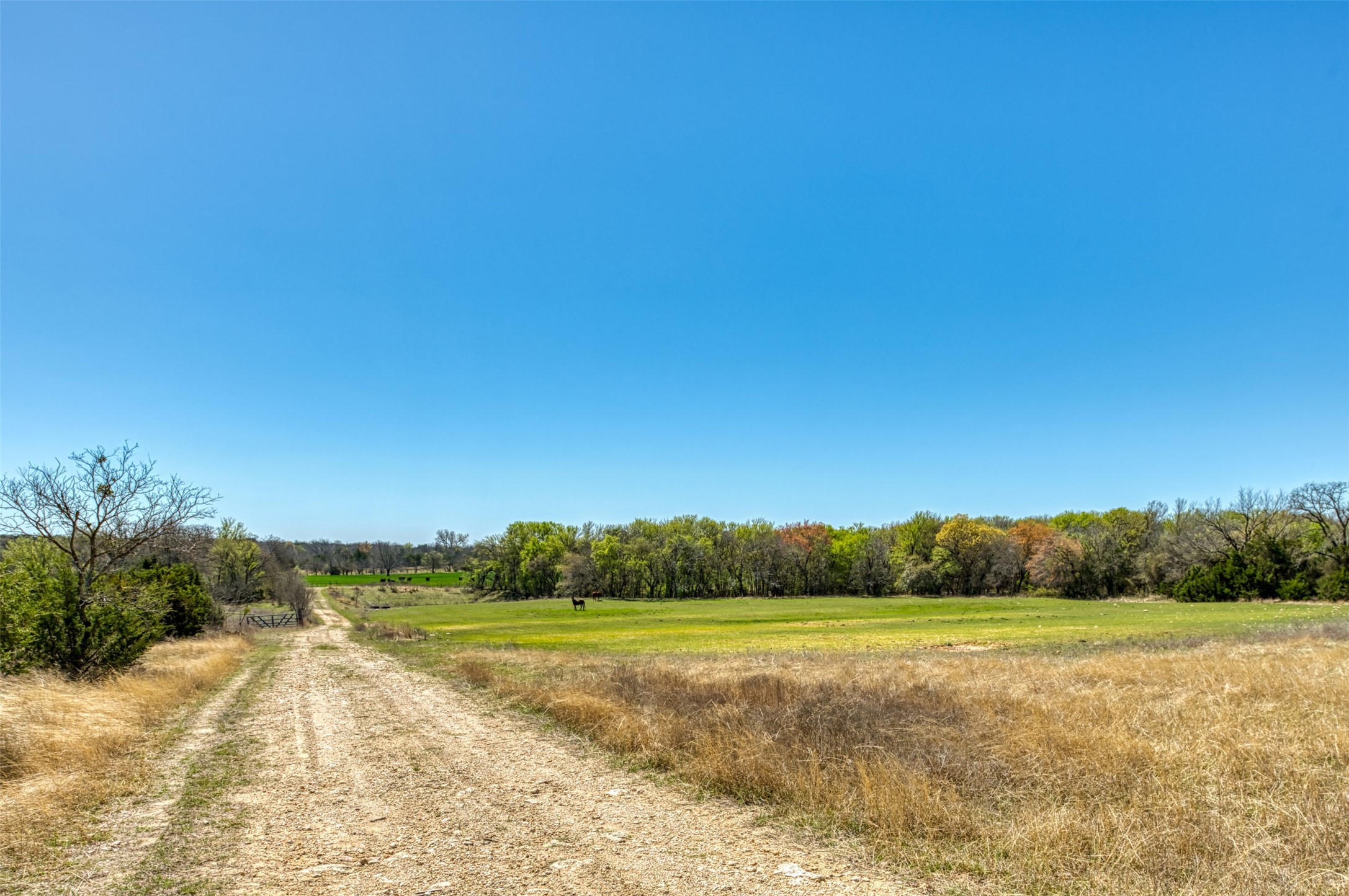 1208 Private Road 1399 Dublin TX 76446