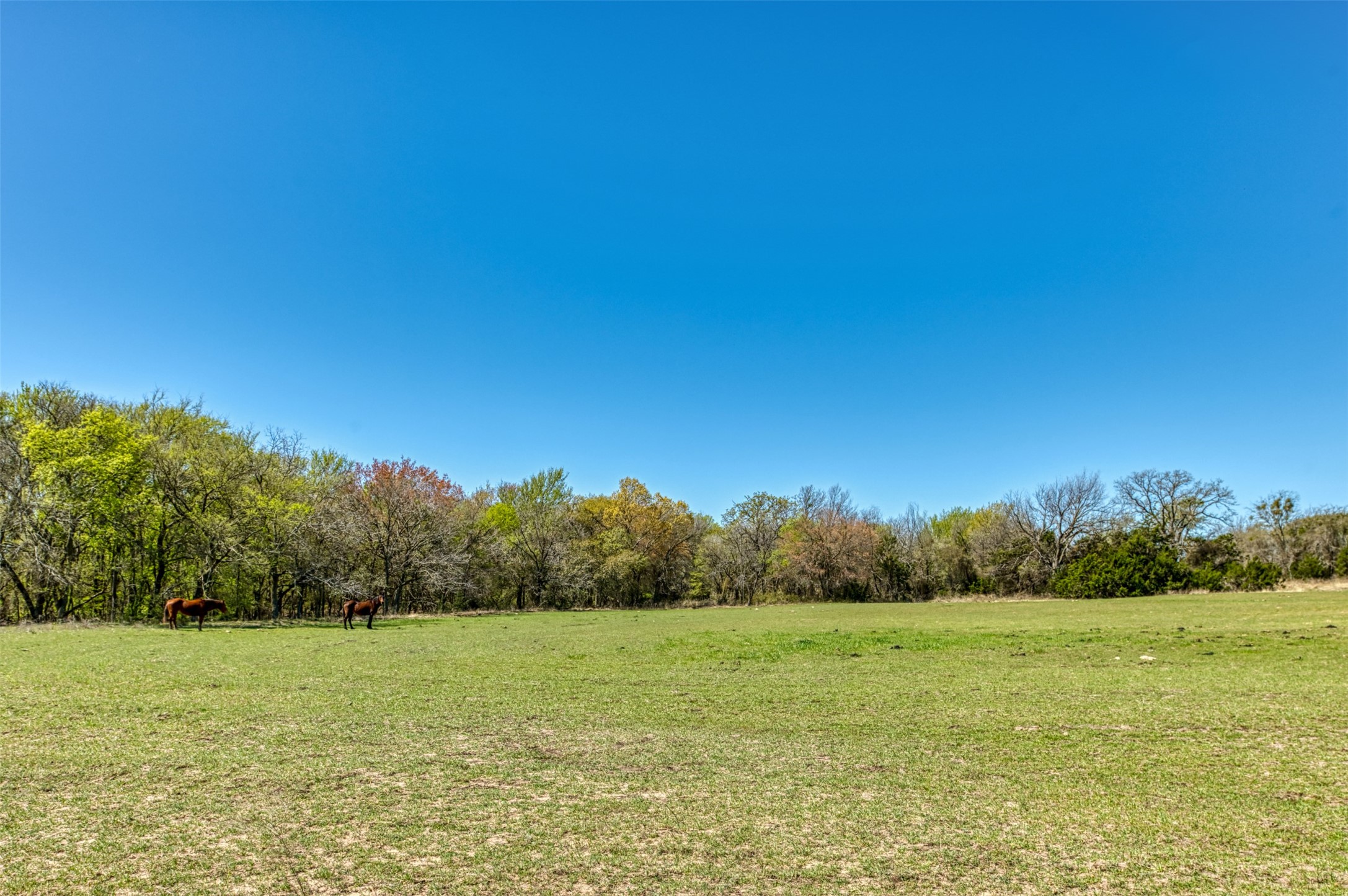 1208 Private Road 1399 Dublin TX 76446