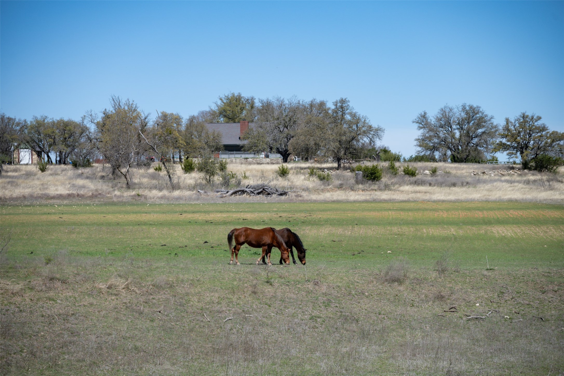 1208 Private Road 1399 Dublin TX 76446