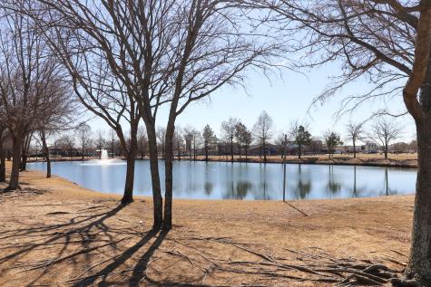 9160 Cranston Court Providence Village TX 76227