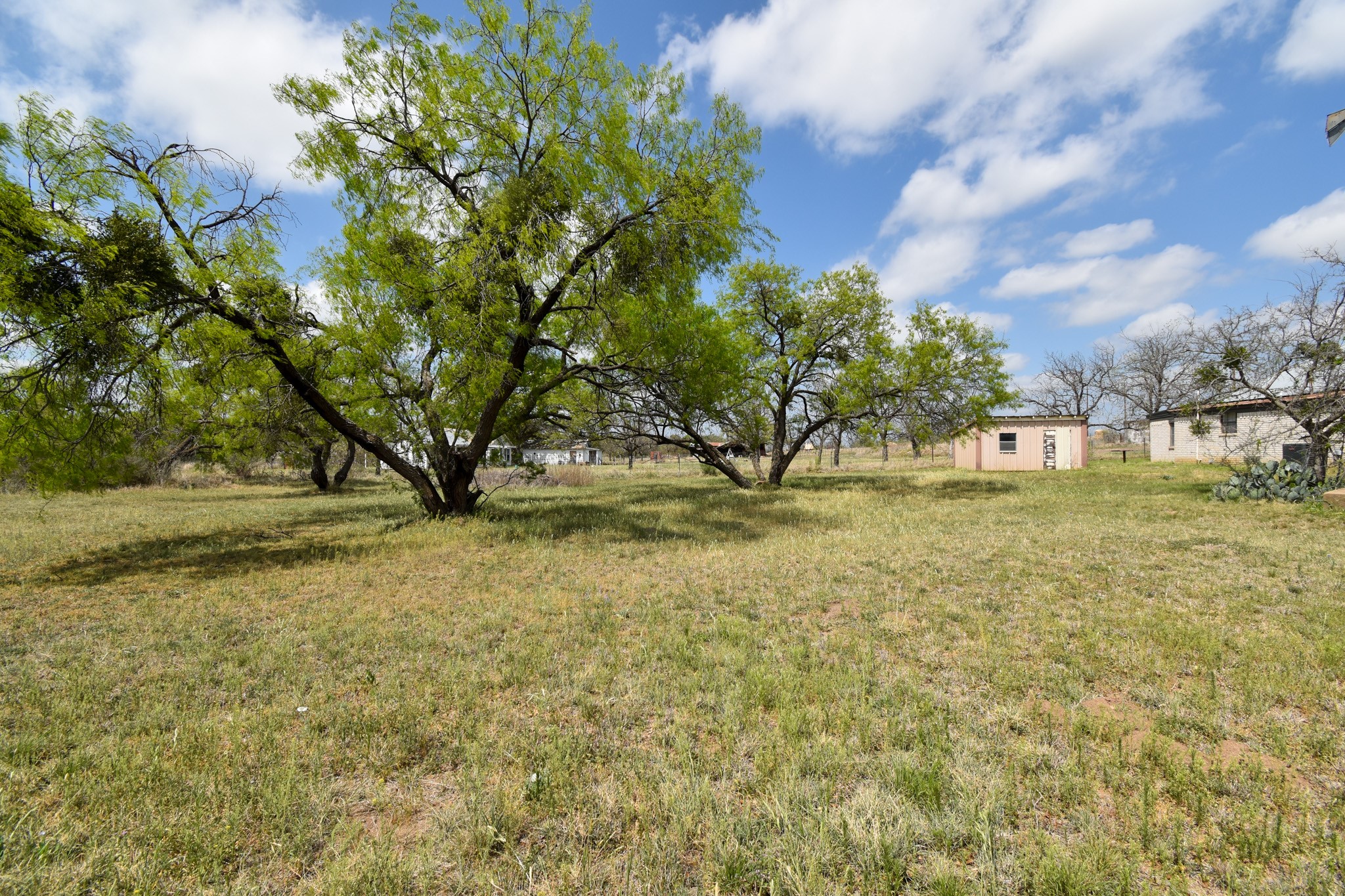 12236 1st Katemcy Street No City TX 76825