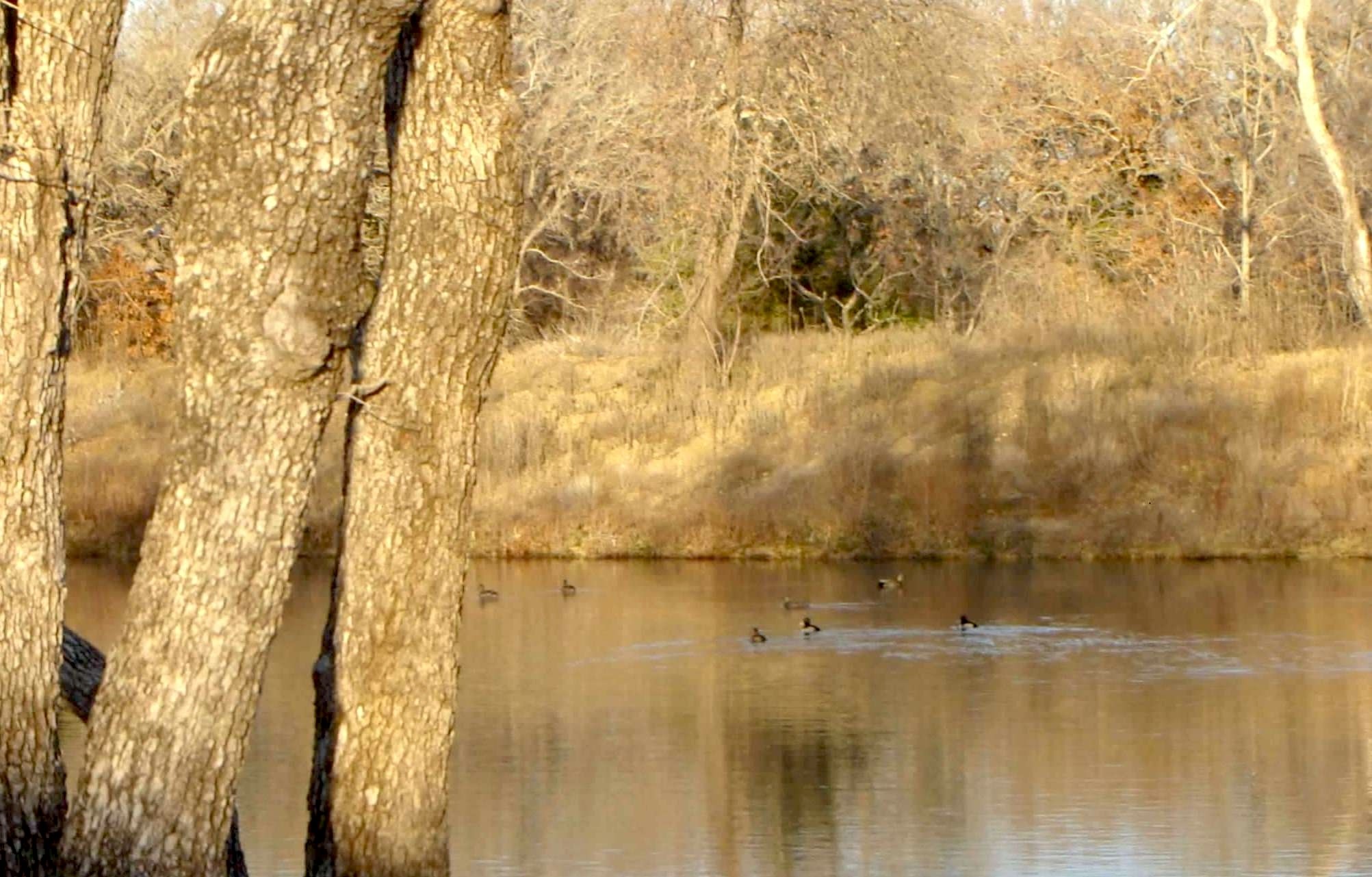 58+ Ac. Cr 102 Road Axtell TX 76673
