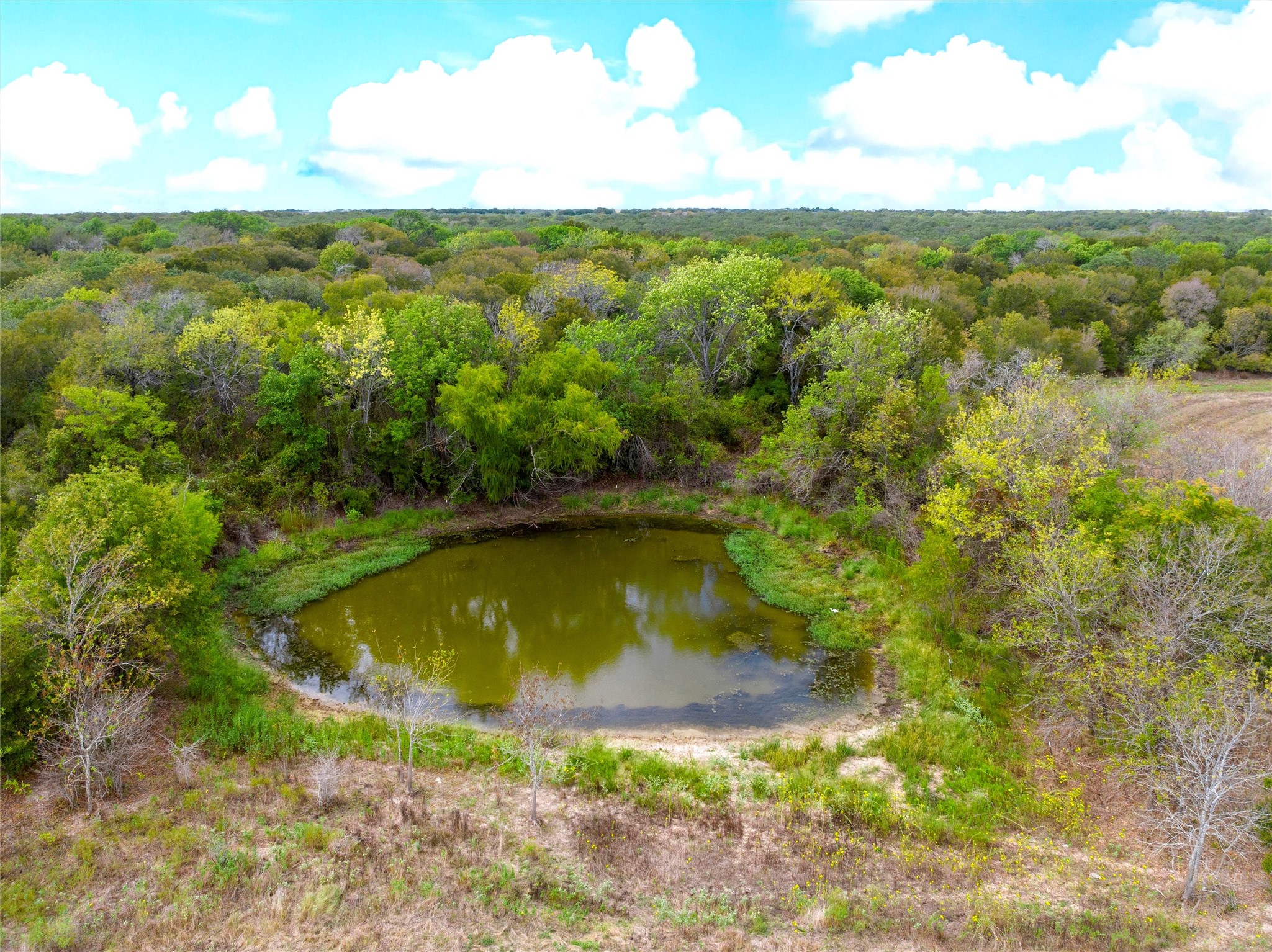 58+ Ac. Cr 102 Road Axtell TX 76673