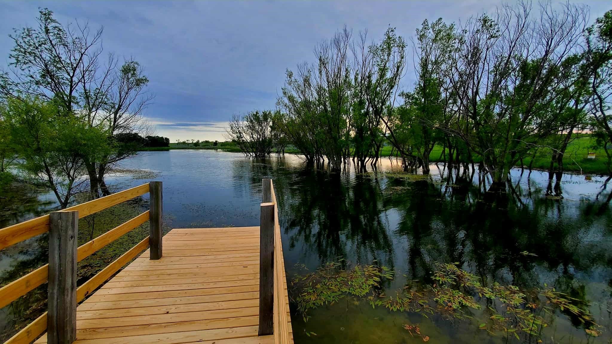 1943 Alsdorf Road Ennis TX 75119