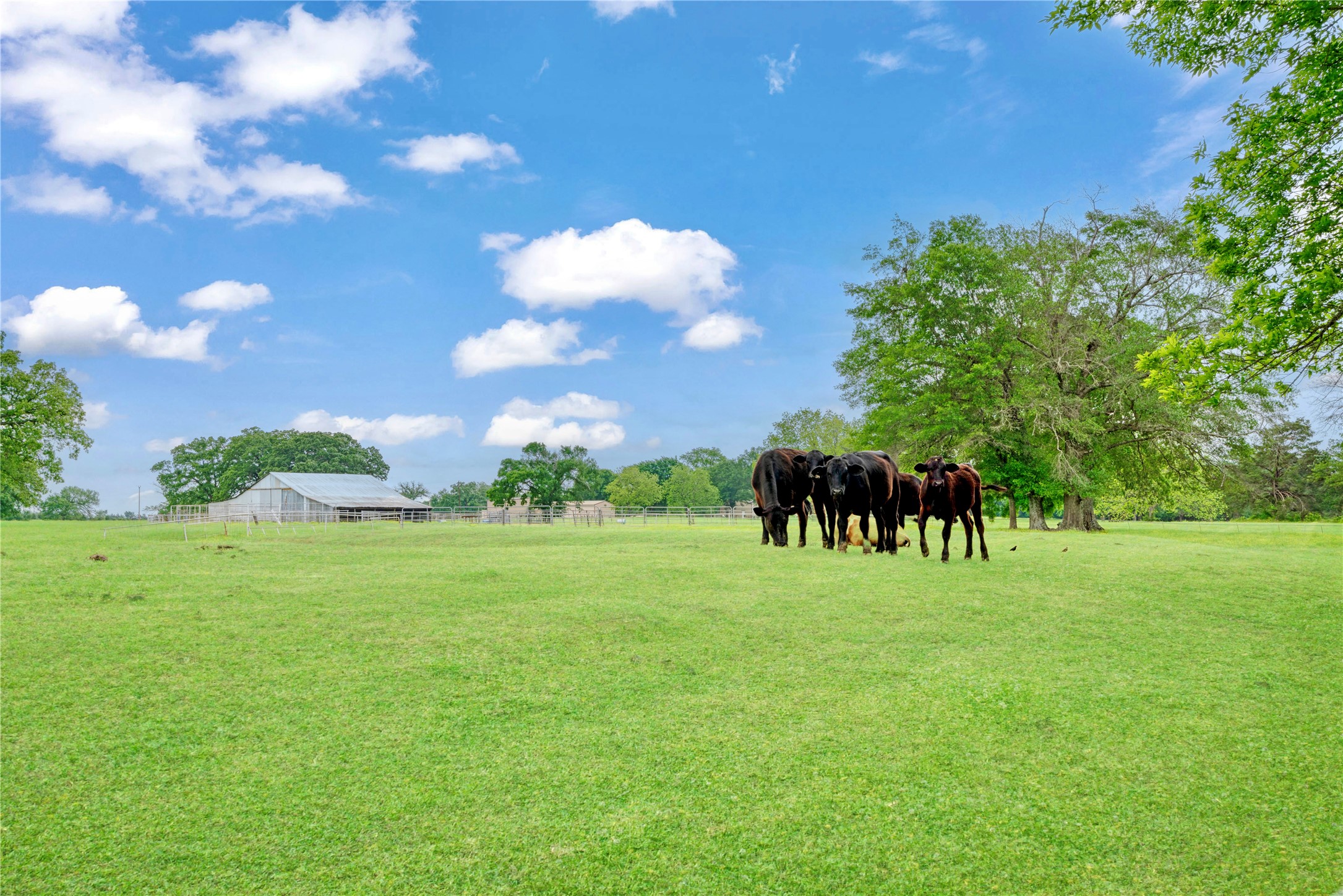 1355 County Road 33100 Sumner TX 75486