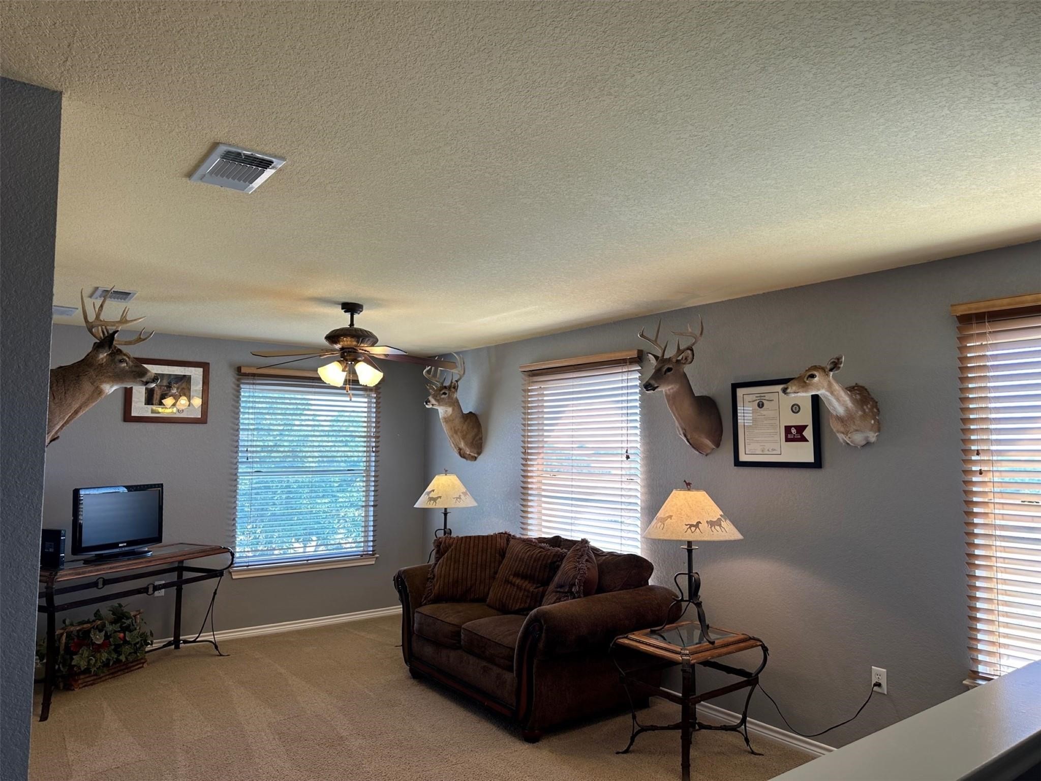 2901 Wind Mill Court Tolar TX 76476