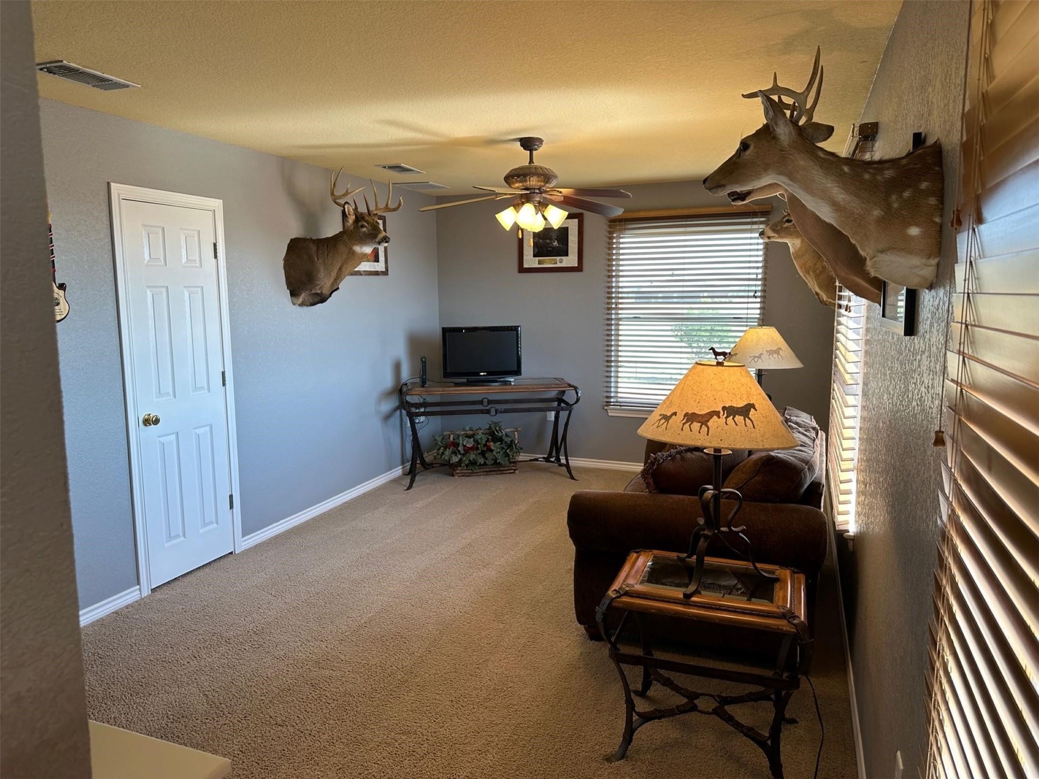 2901 Wind Mill Court Tolar TX 76476