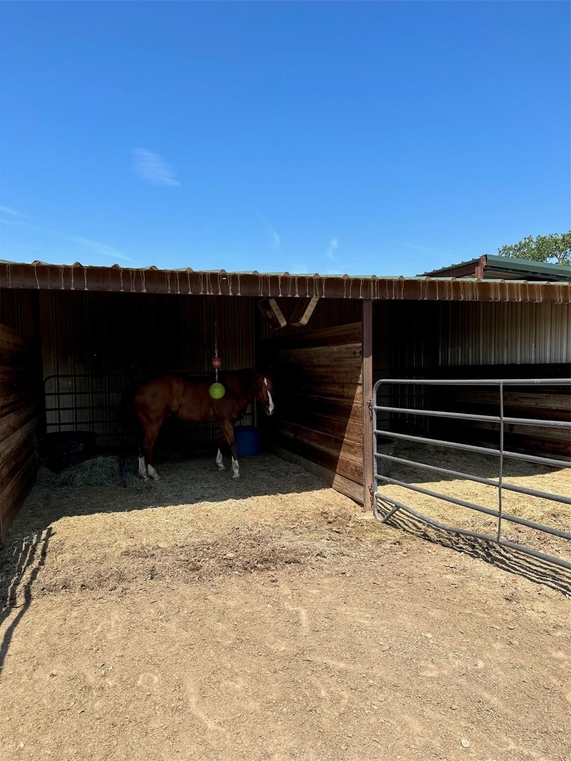 2901 Wind Mill Court Tolar TX 76476