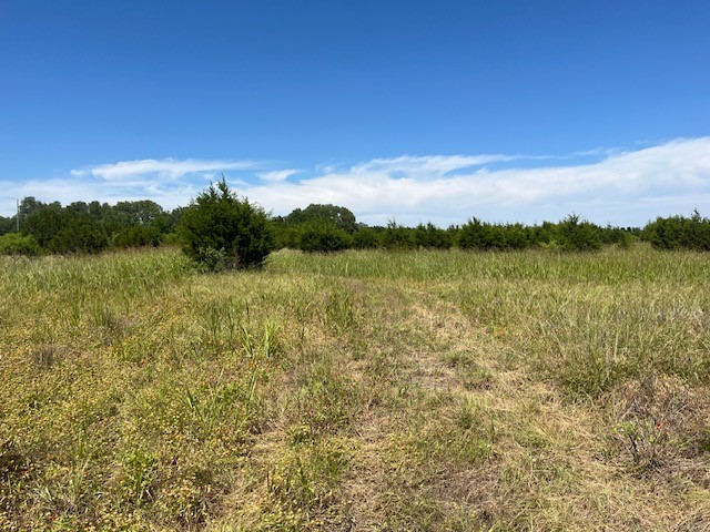 707 County Road 426 Purmela TX 76566