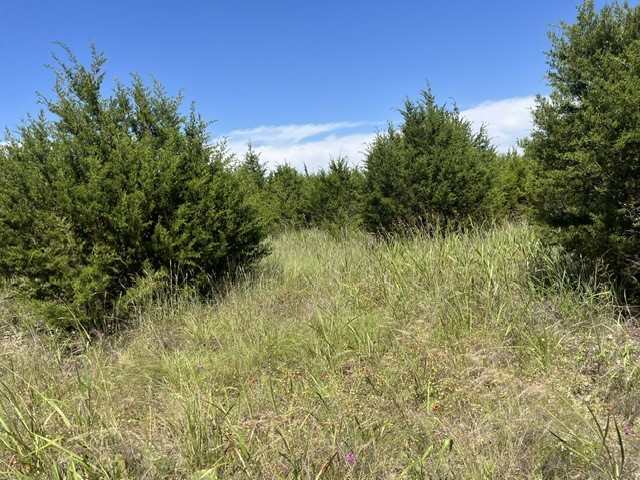 707 County Road 426 Purmela TX 76566