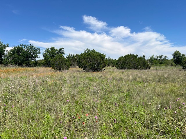 707 County Road 426 Purmela TX 76566