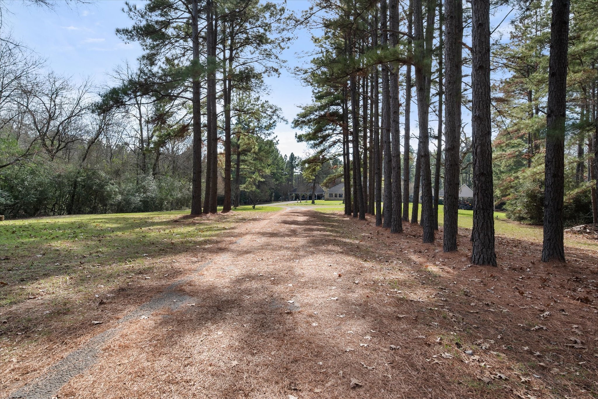 6951 E County Road 315 Buffalo TX 75831