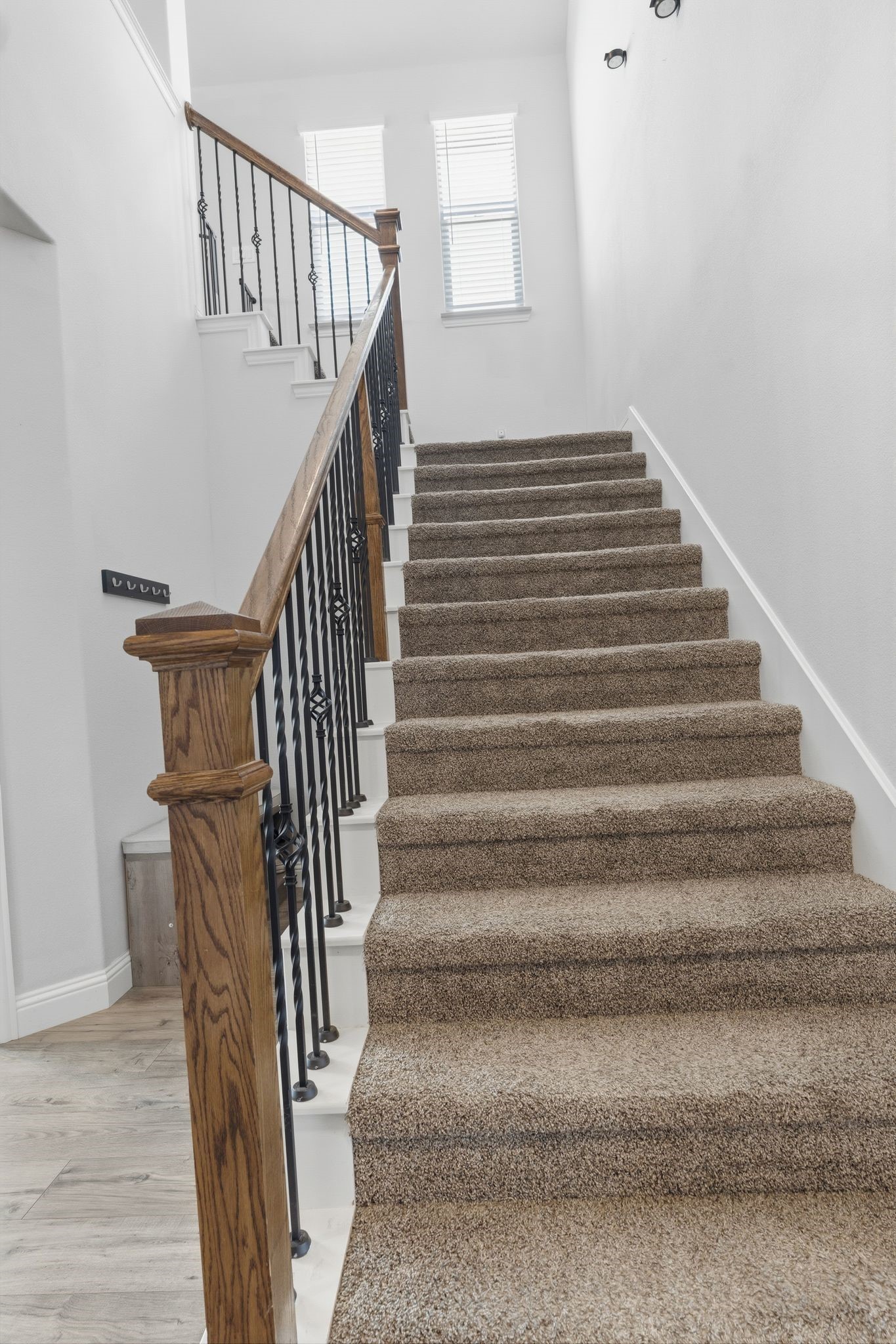 1316 Tree Shadow Lane Anna TX 75409