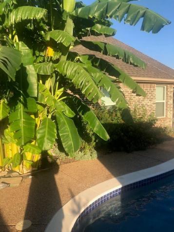 1901 Bay Laurel Drive Weatherford TX 76086
