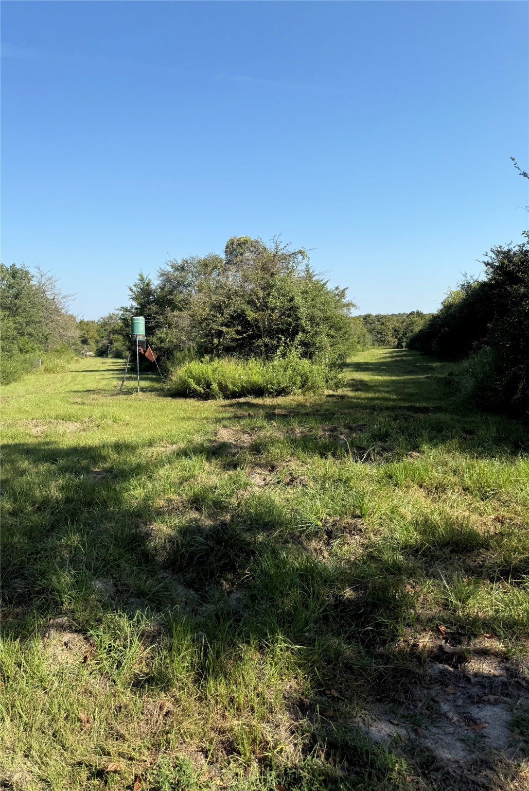 117A Lcr 702 Kosse TX 76653