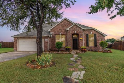 3032 Delray Court Little Elm TX 75068