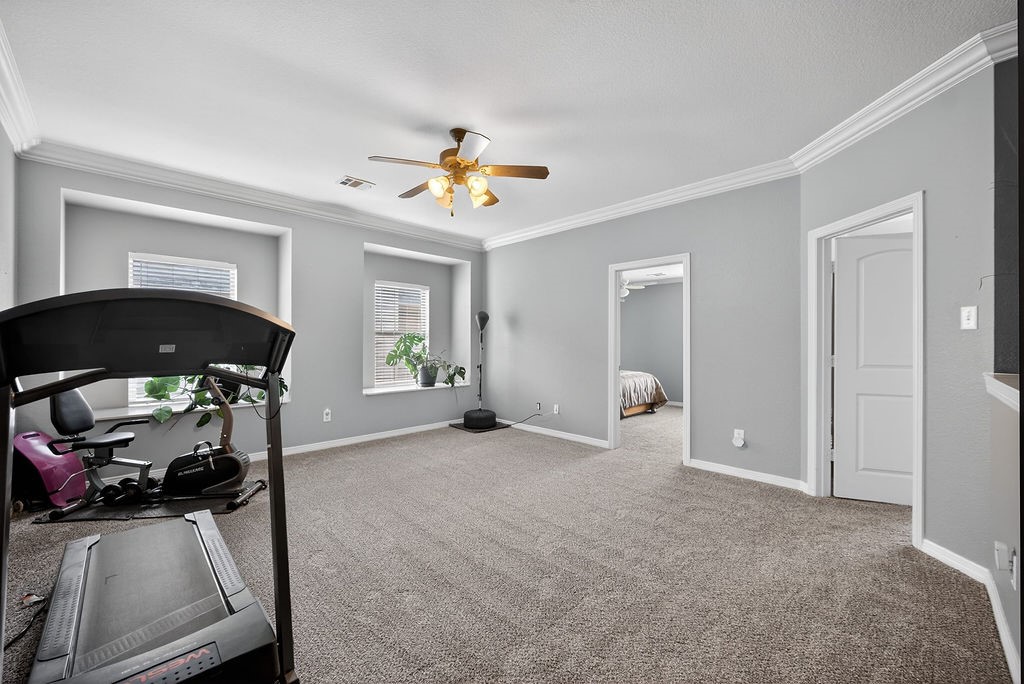 5804 Silver Leaf Drive Mckinney TX 75070