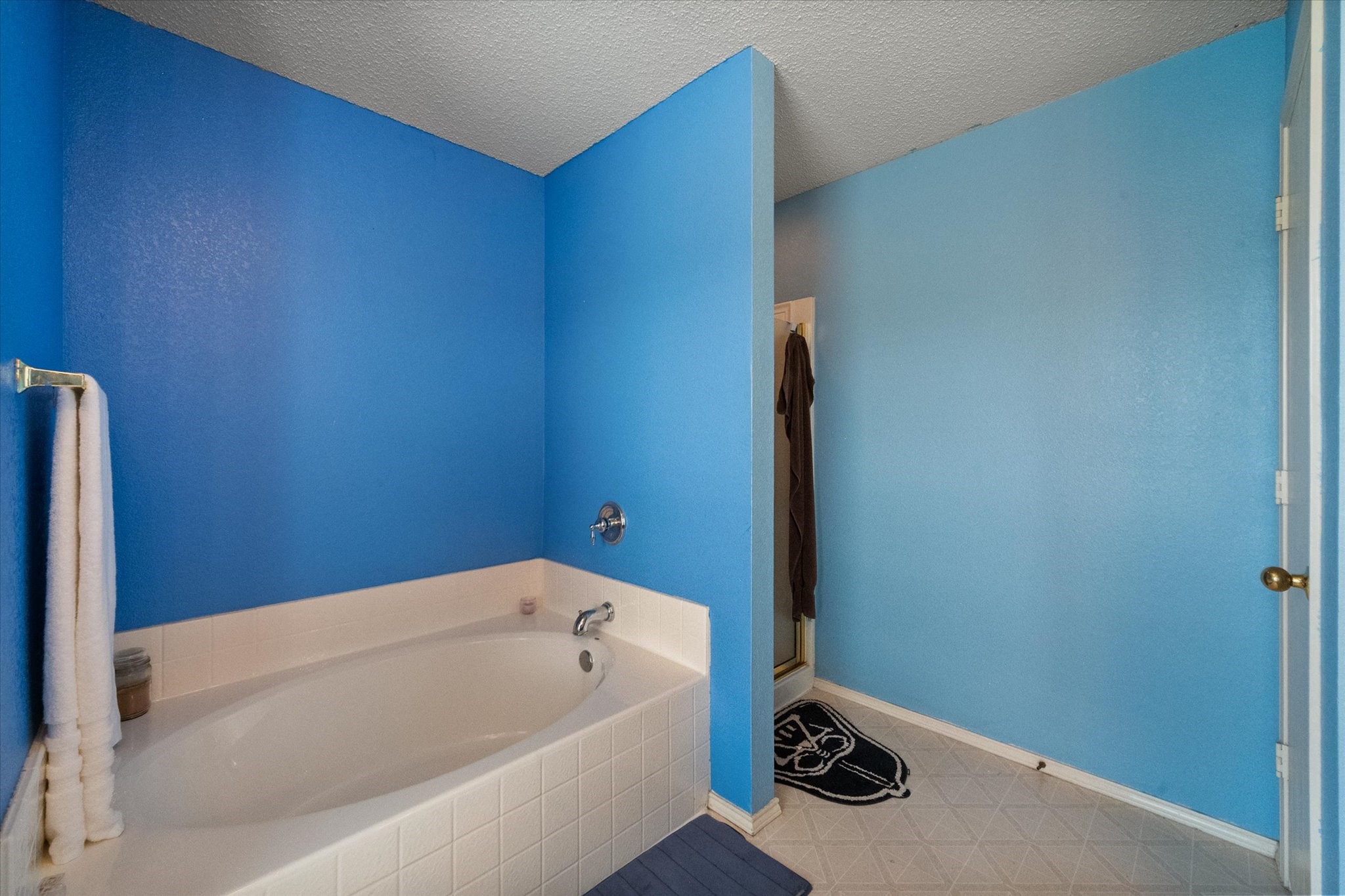 8133 Colbi Lane Fort Worth TX 76120