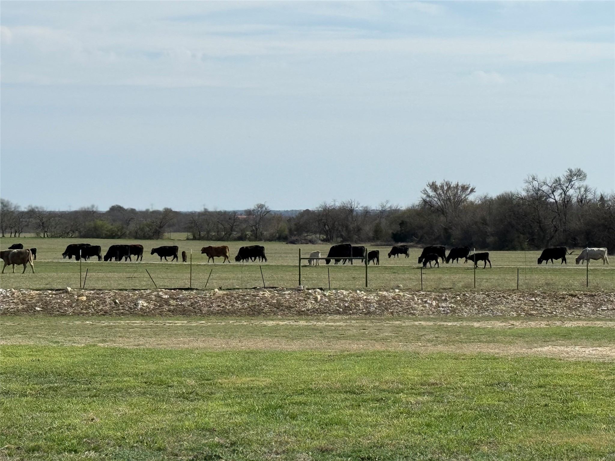 2330 Kinley Brooke Drive Waxahachie TX 75167